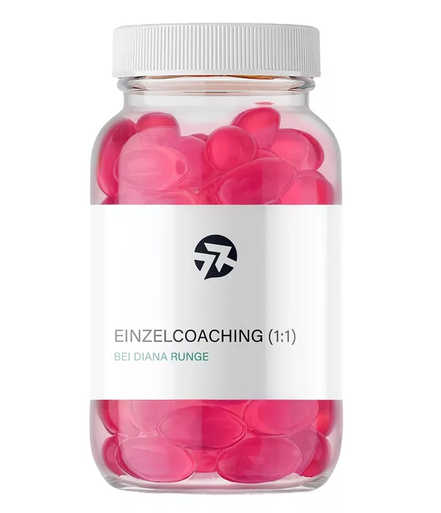 einzelcoaching (1 1)