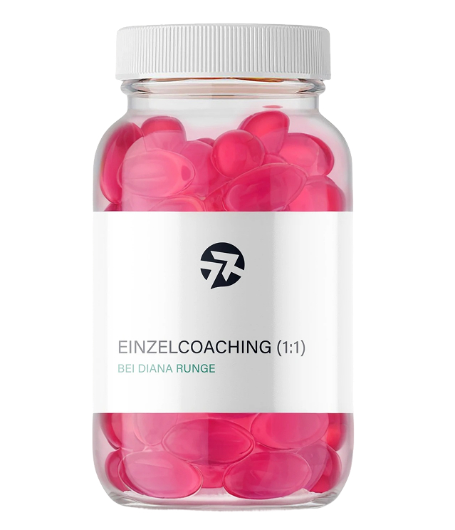 einzelcoaching (1 1)