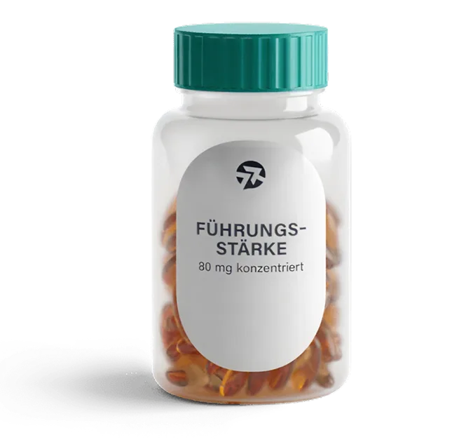 fuehrung 450 optm