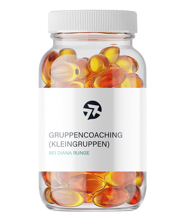 gruppencoaching (kleingruppen)